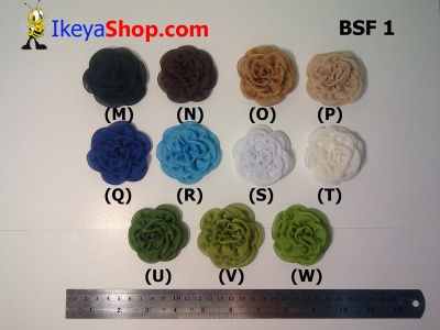 BSF 1 M W  large2